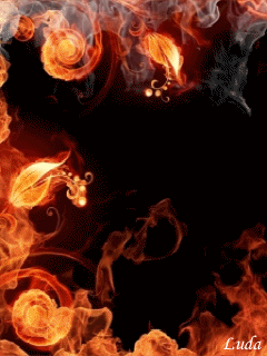 is on fire.gif